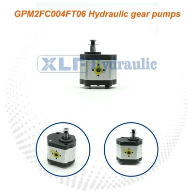 GPM 2FC004FT06 HIDRAULIC PETIT PISTON HIDRAULIC